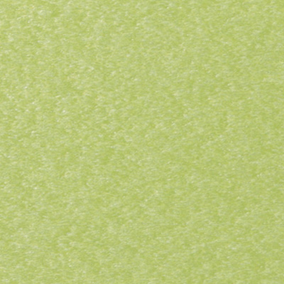 Standard Finish Kiwi Green Swatch