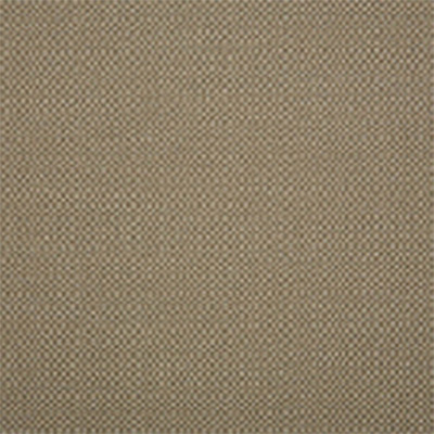 Fabric Colors C – Action Taupe Swatch