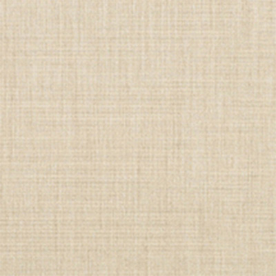 Fabric Colors B Canvas Flax Swatch