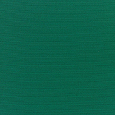 Fabric Colors B – Canvas Forest Green Swatch