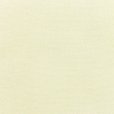 Fabric Colors B  Canvas Natural Swatch