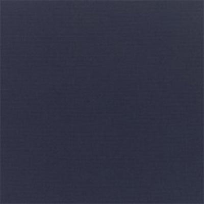 Fabric Colors B Canvas Navy Swatch