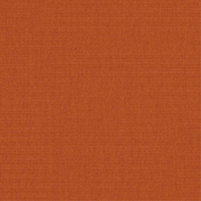 Fabric Colors B Canvas Rust Swatch