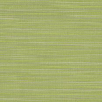 Fabric Colors B – Dupione Peridot Swatch