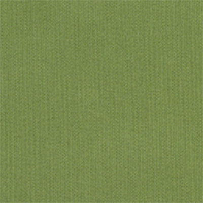 Fabric Colors B – Spectrum Cilantro Swatch