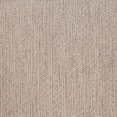TG Canyon Taupe Swatch
