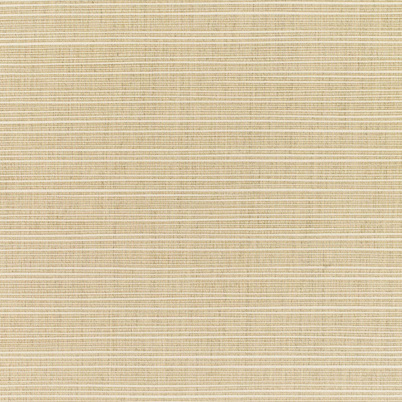 Fabric Colors B Dupoine sand Swatch